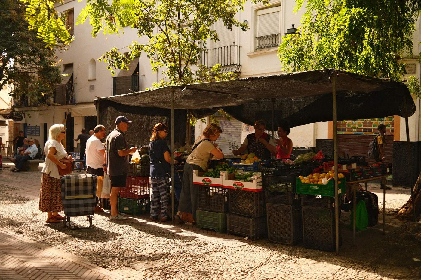 Obst und Gemüse an einem Marktstand am Vormittag